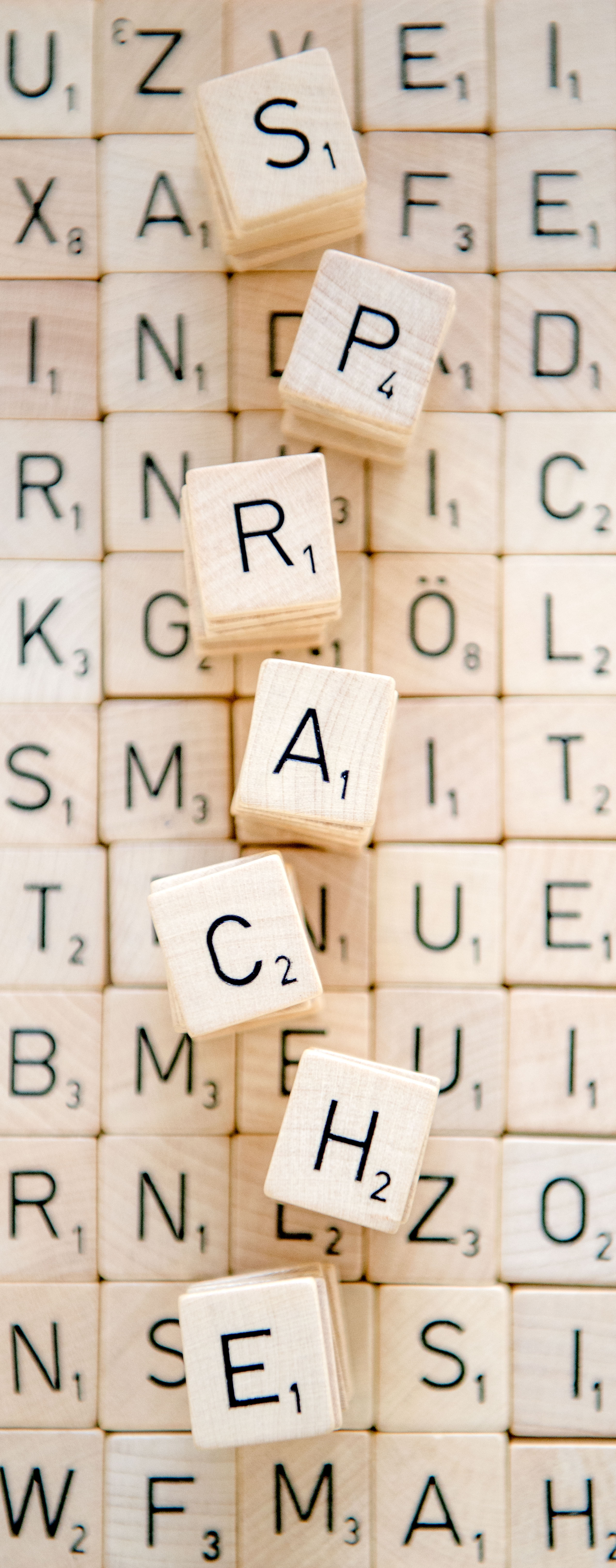 Spielsteine aus dem Brettspiel Scrabble formen das Wort "Sprache".