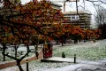 Wiese G-Gebäude im Winter