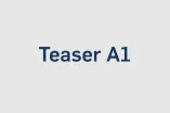 Beispielbild für Teaser A1