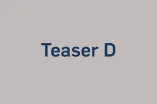 Beispielseite Teaser D
