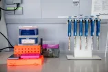 Stellvertretend Labor