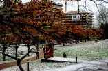 Wiese G-Gebäude im Winter