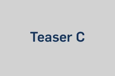 Beispielbild Teaser C