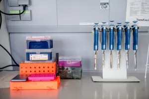 Stellvertretend Labor