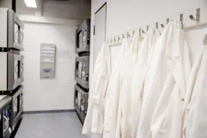 Stellvertretend Labor