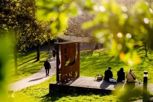 Blick durch Blätter auf Wiese vor G-Reihe