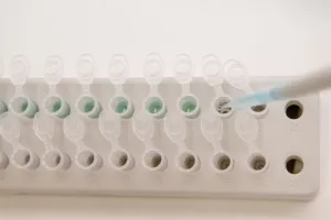 Stellvertretend Labor