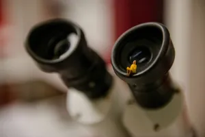 Stellvertretend Labor