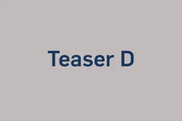 Beispielseite Teaser D