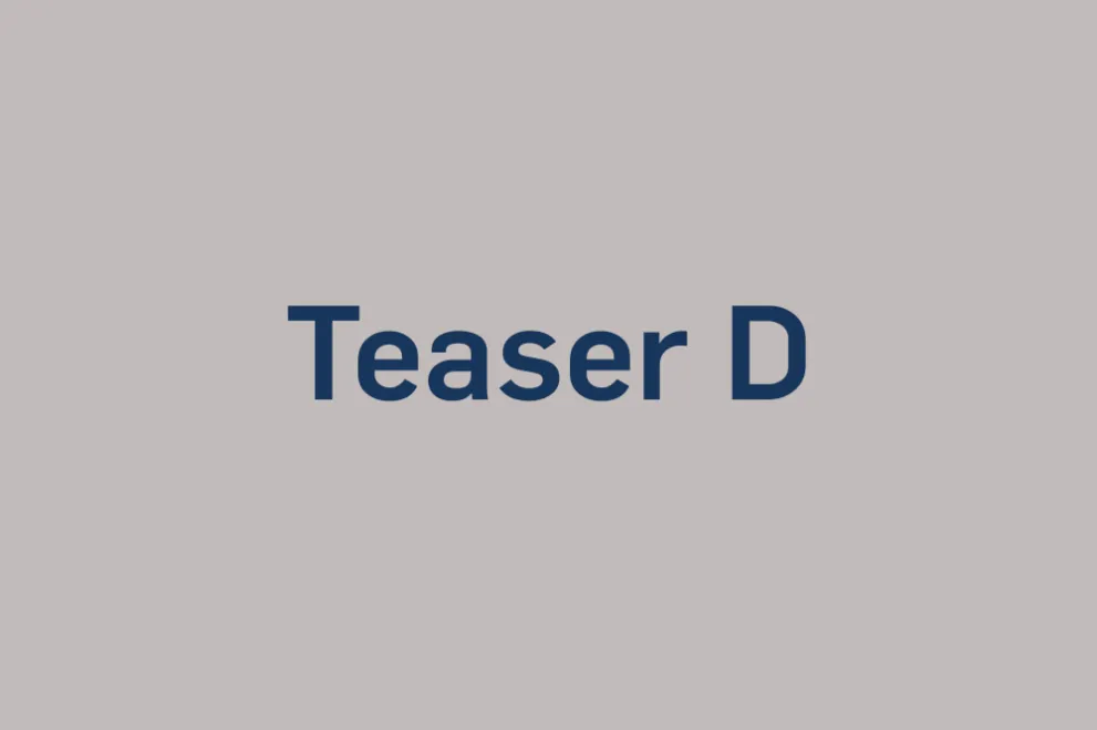 Beispielseite Teaser D