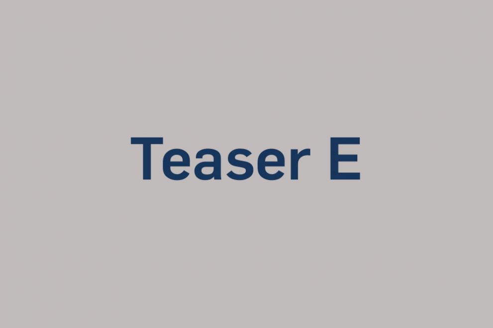 Beispielbild Teaser E