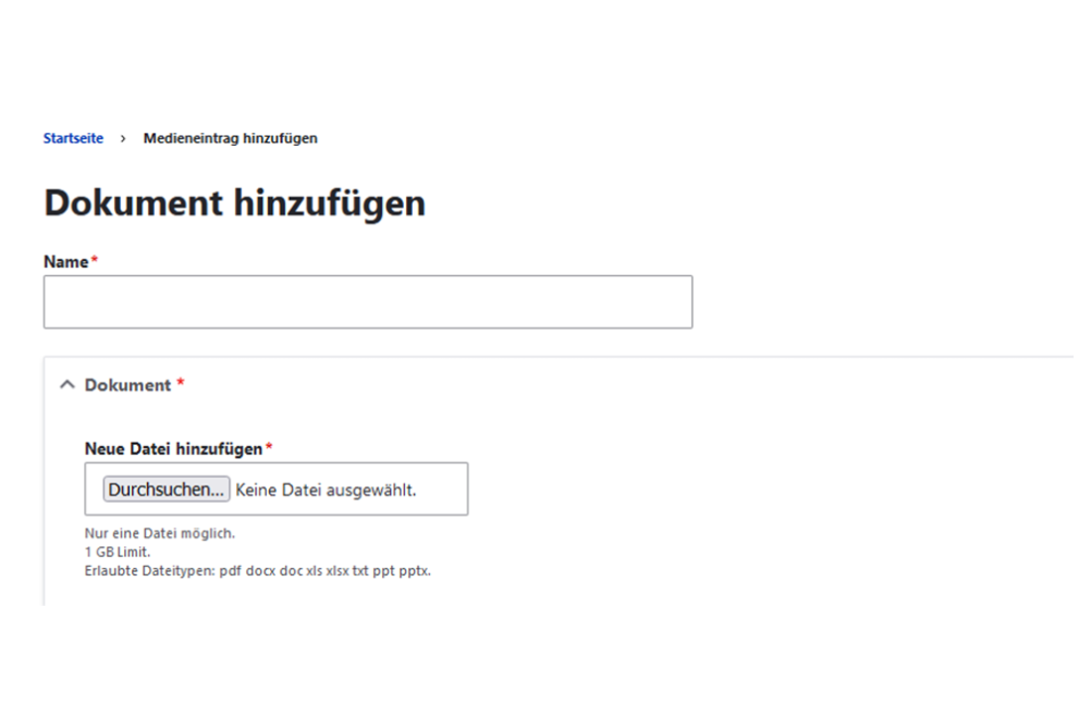 Screenshot: Eingabemaske, um ein Dokument im Backend von RUB-Web hochzuladen