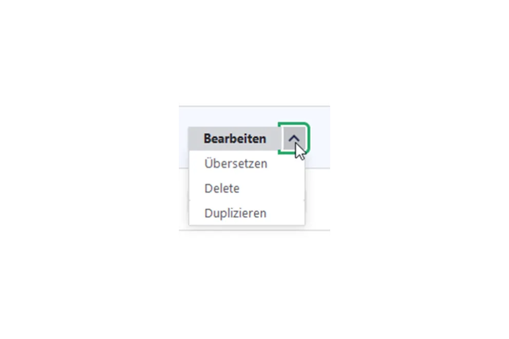 Screenshot: Duplizieren von Webseiten