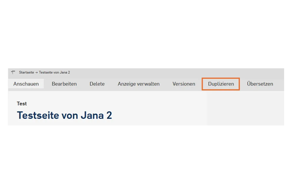 Screenshot: Duplizieren von Webseiten