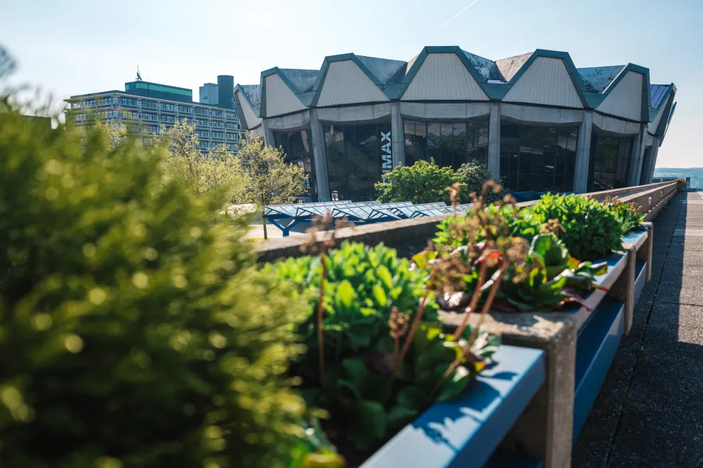 Brücke mit Pflanzen vor Audimax