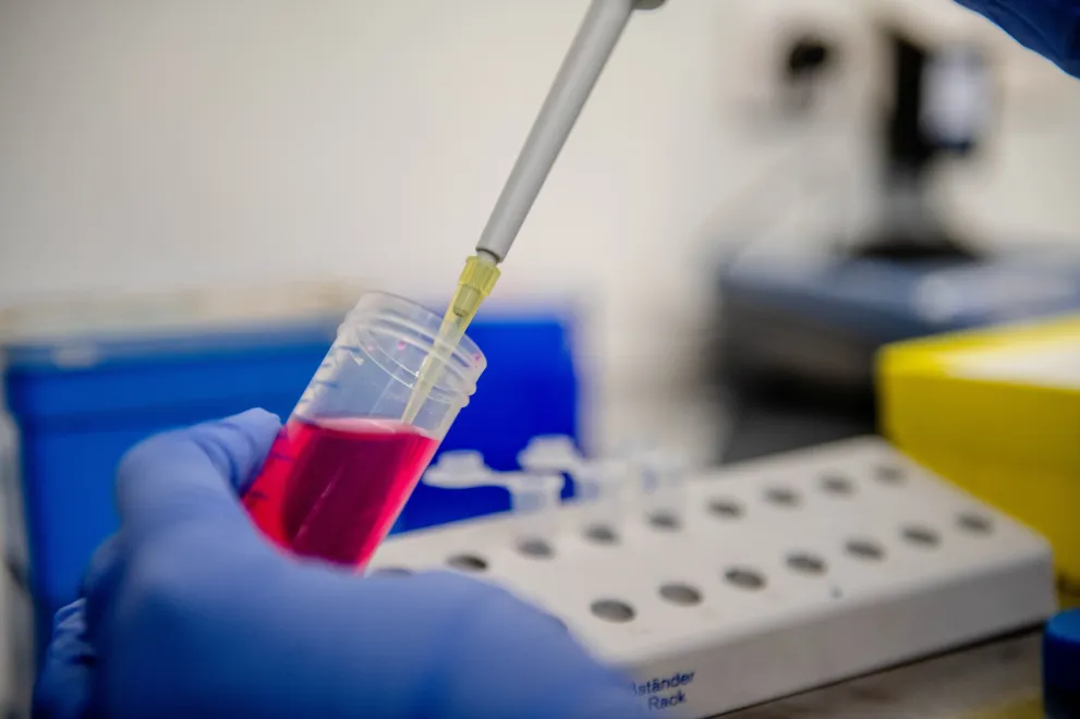 Stellvertretend Labor