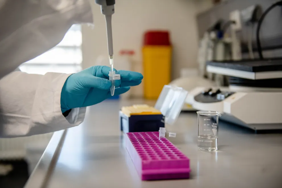 Stellvertretend Labor