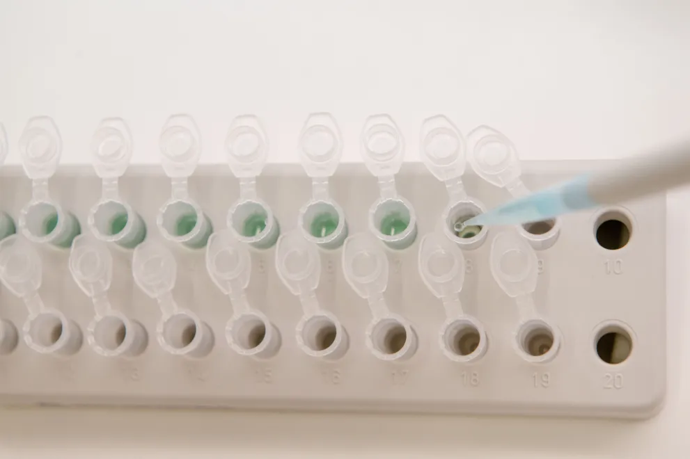 Stellvertretend Labor