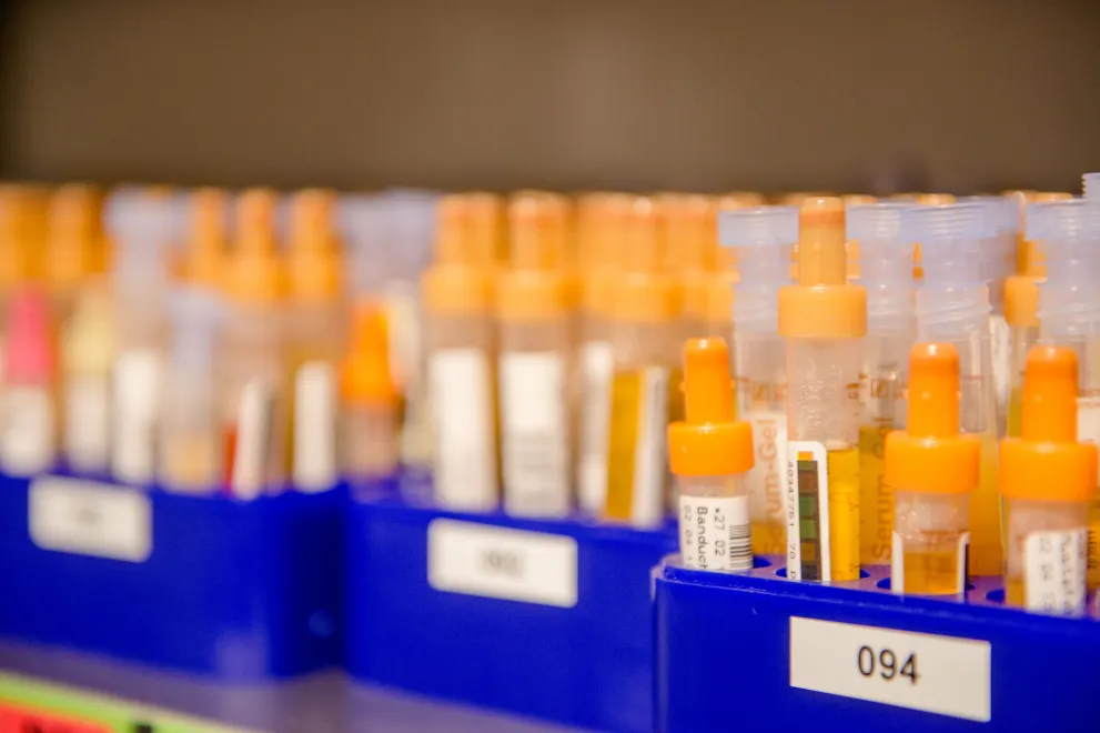 Stellvertretend Labor