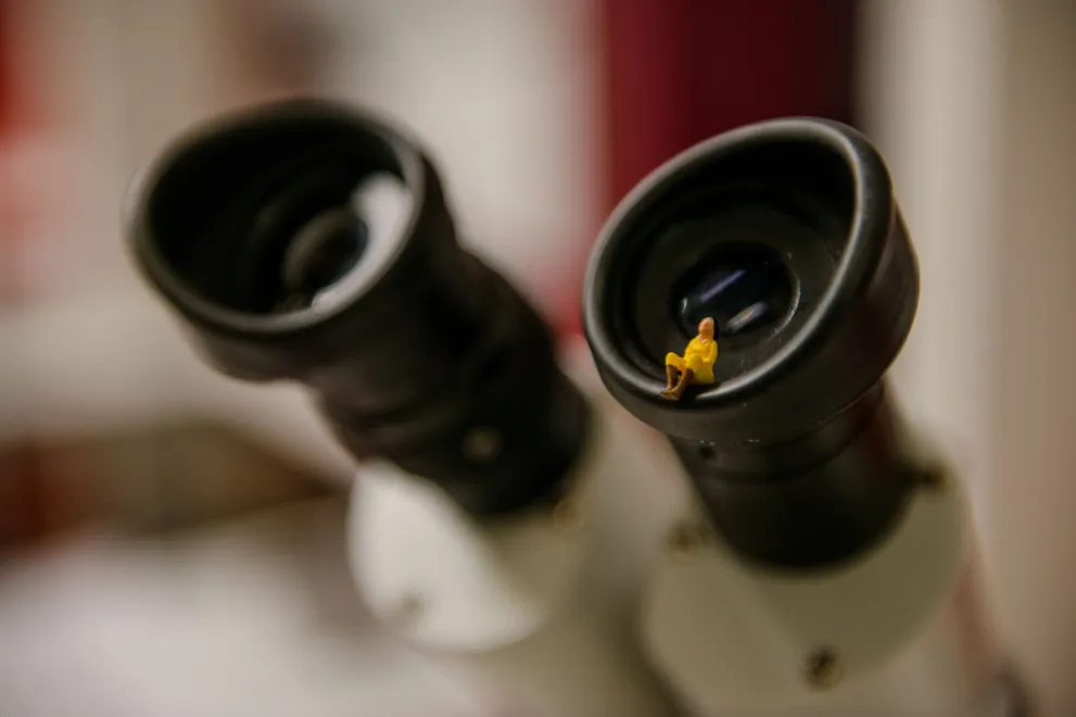 Stellvertretend Labor