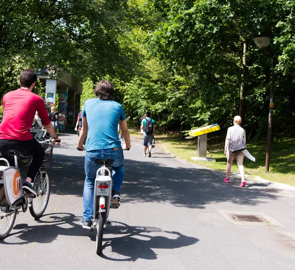 Zwei männliche Studierende fahren Rad auf dem Campusgelände und sind nur von hinten zu sehen.